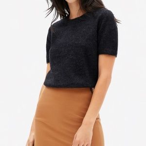 Everlane Alpaca Sweater Tee